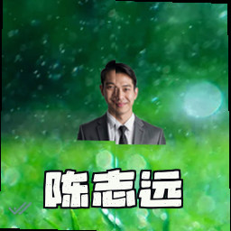 陈志远